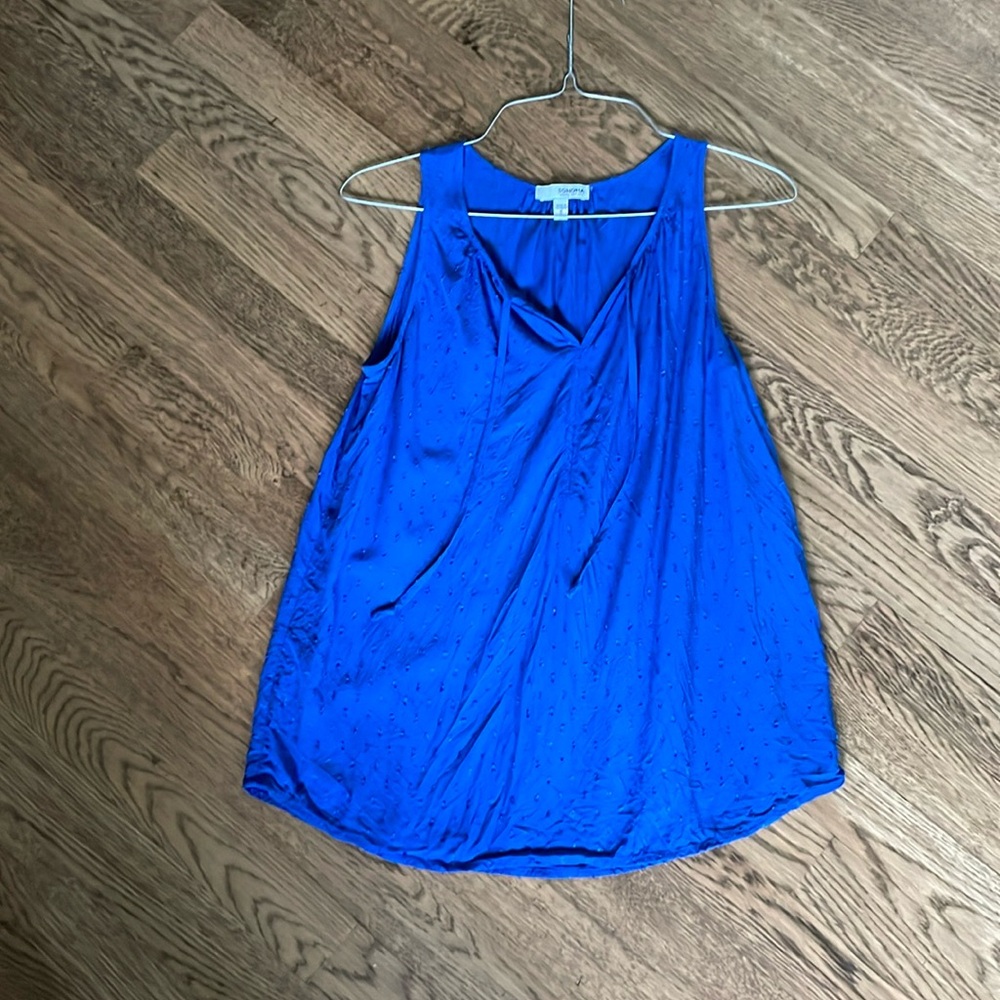 Blue sleeveless top
